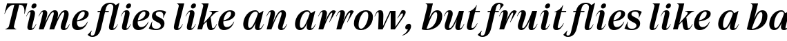 Grand Cru Medium S Italic