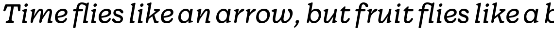 Wonder Light Italic