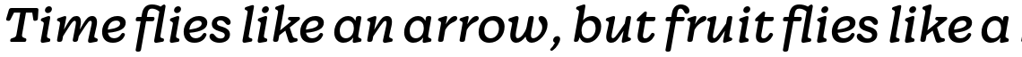 Wonder Regular Italic