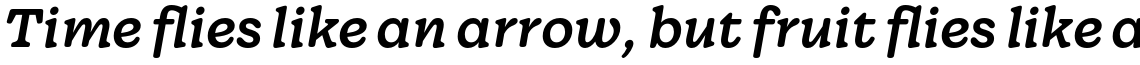 Wonder Medium Italic