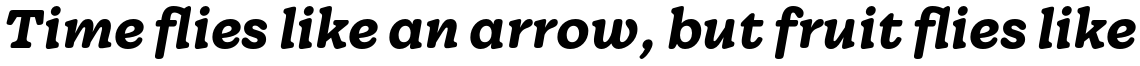 Wonder Bold Italic