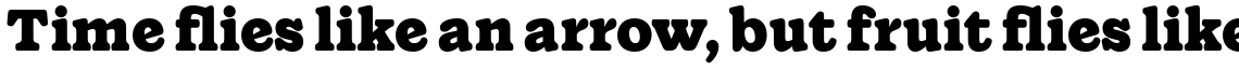 Wonder Extrabold