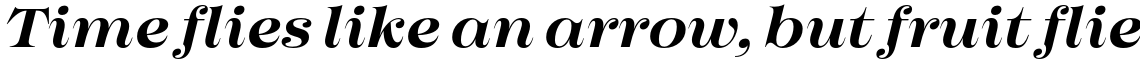 Imagist Medium Italic