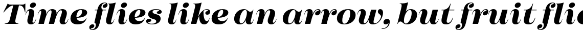 Imagist Bold Italic