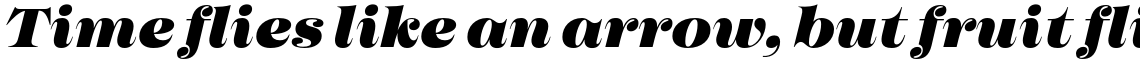 Imagist Black Italic