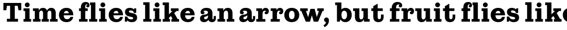 Lagom Bold