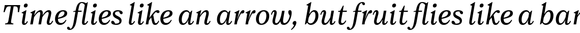 Maine Light Italic