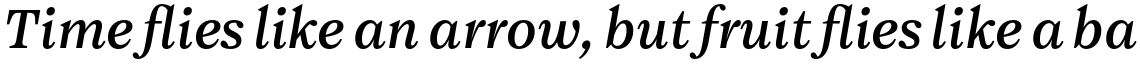 Maine Regular Italic