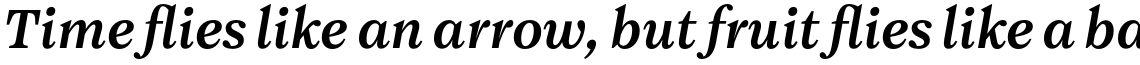 Maine Book Italic