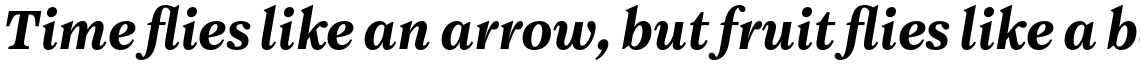 Maine Medium Italic