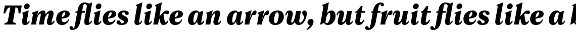 Maine Extra Bold Italic