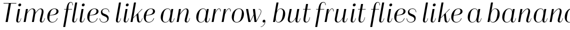 Alonzo Light Italic