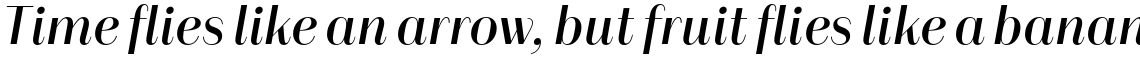 Alonzo Regular Italic