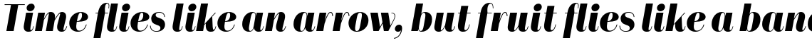Alonzo Extrabold Italic