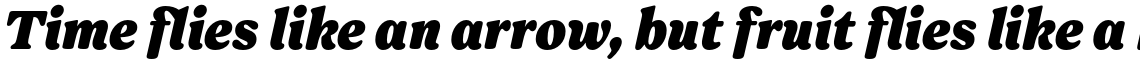 Forrest Heavy Italic