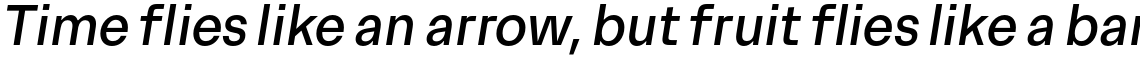 Premis Regular Italic