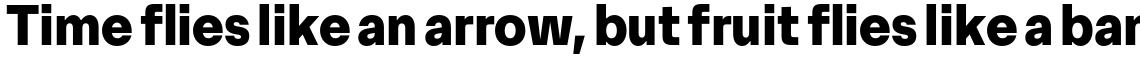 Premis Extrabold