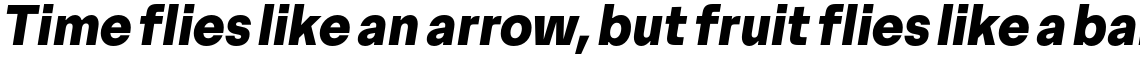 Premis Extrabold Italic