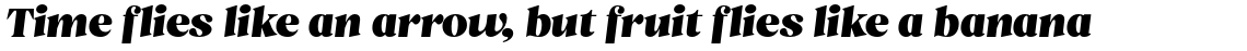 Asford Bold Italic