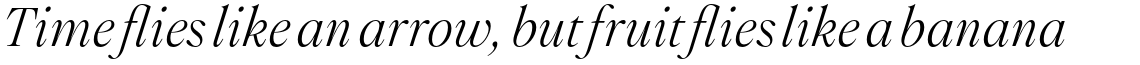 Montaigne Light Italic