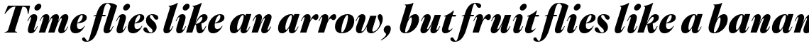 Montaigne Black Italic