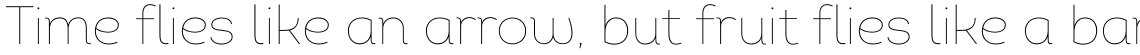Intro Thin Alt