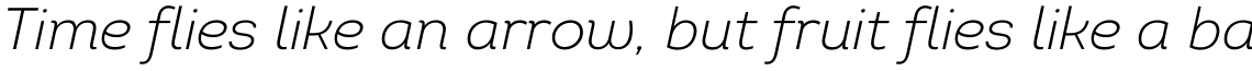 Intro Light Italic