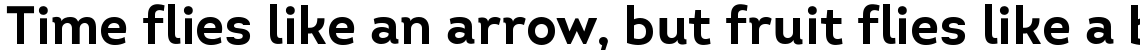 Intro Bold