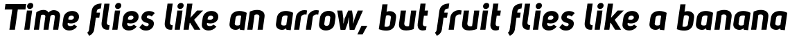Uni Sans Bold Italic