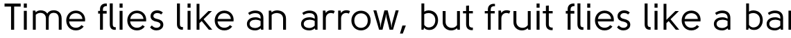 Solomon Sans Family