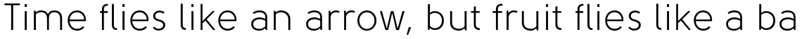 Solomon Sans Book