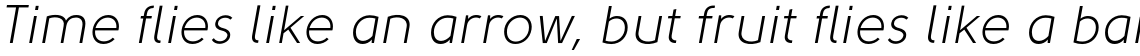 Solomon Sans Book Italic