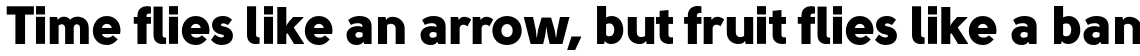 Solomon Sans Black