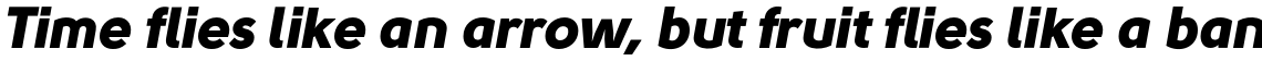 Solomon Sans Black Italic