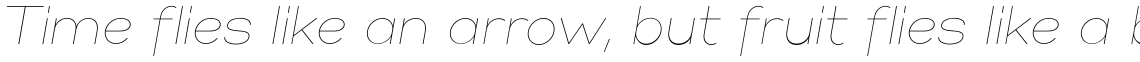 Gabriel Sans Thin Italic