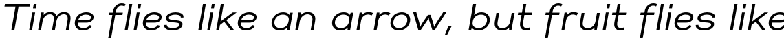 Gabriel Sans Normal Italic