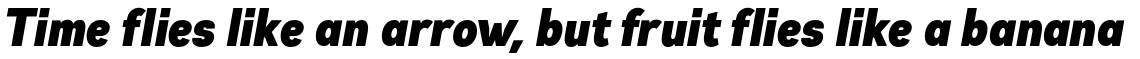 Gabriel Sans Condensed Black Italic