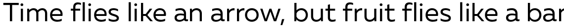 Muller Sans Complete Family