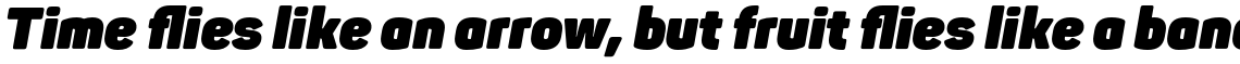 Panton Heavy Italic
