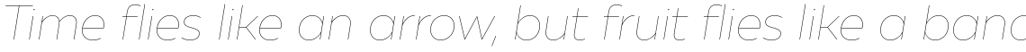 Muller Sans Hairline Italic