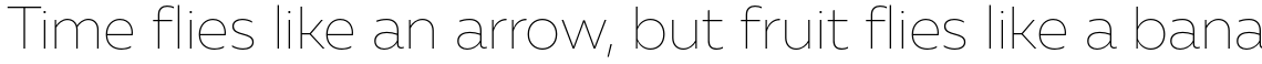 Muller Sans Thin