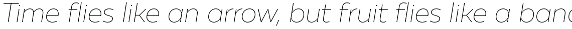 Muller Sans Thin Italic