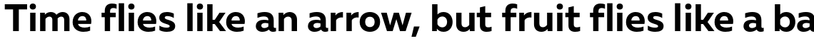 Muller Sans Bold