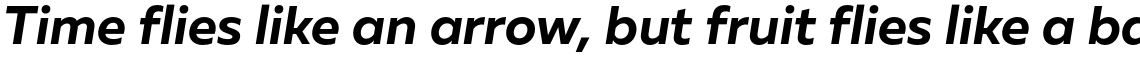 Muller Sans Bold Italic