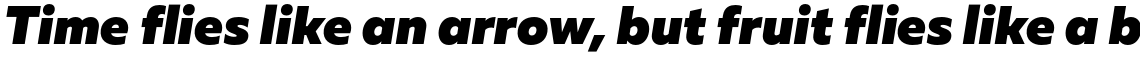 Muller Sans Black Italic