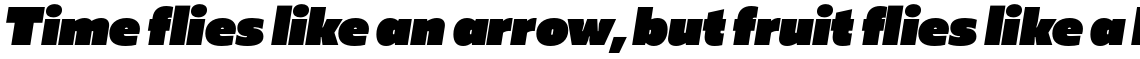 Muller Sans Fat Italic
