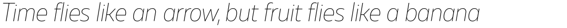 Muller Sans Narrow Thin Italic