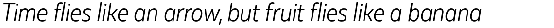 Muller Sans Narrow Light Italic