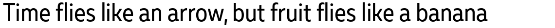 Muller Sans Narrow Regular