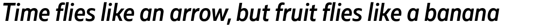 Muller Sans Narrow Medium Italic